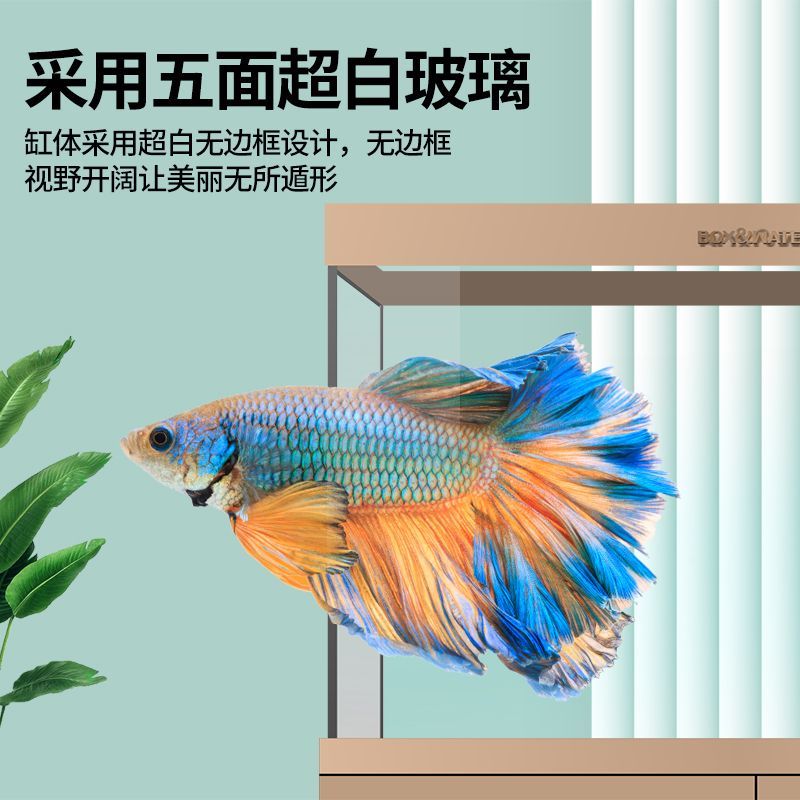 博特魚缸換水時間怎么調整：博特魚缸換水時間怎么調整博特魚缸換水時間調整