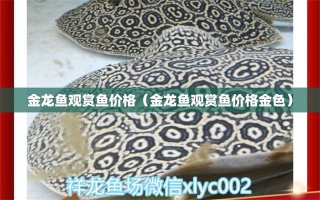 光特億水泵連接無線（光特億水泵怎么連接手機(jī)） 光特億水泵連接無線（光特億水泵怎么連接手機(jī)） 光特億