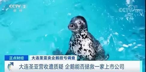 水族館主營業務是什么意思：水族館主營業務