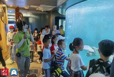 水族館里面有什么：水族館展示海洋哺乳動(dòng)物的絕佳場(chǎng)所