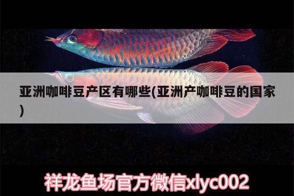 亞洲咖啡豆產區有哪些(亞洲產咖啡豆的國家)