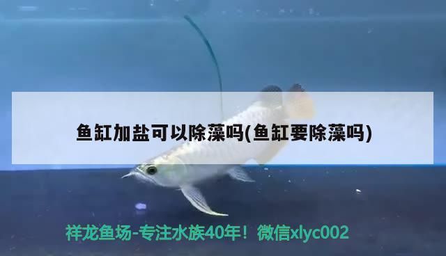 亞克力板放魚缸里有毒嗎（ 亞克力板放魚缸里有毒嗎會爆炸嗎）
