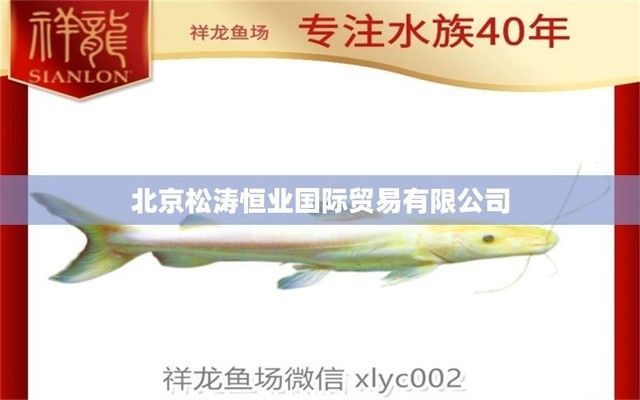 祥龍水族館客戶滿意度調(diào)查