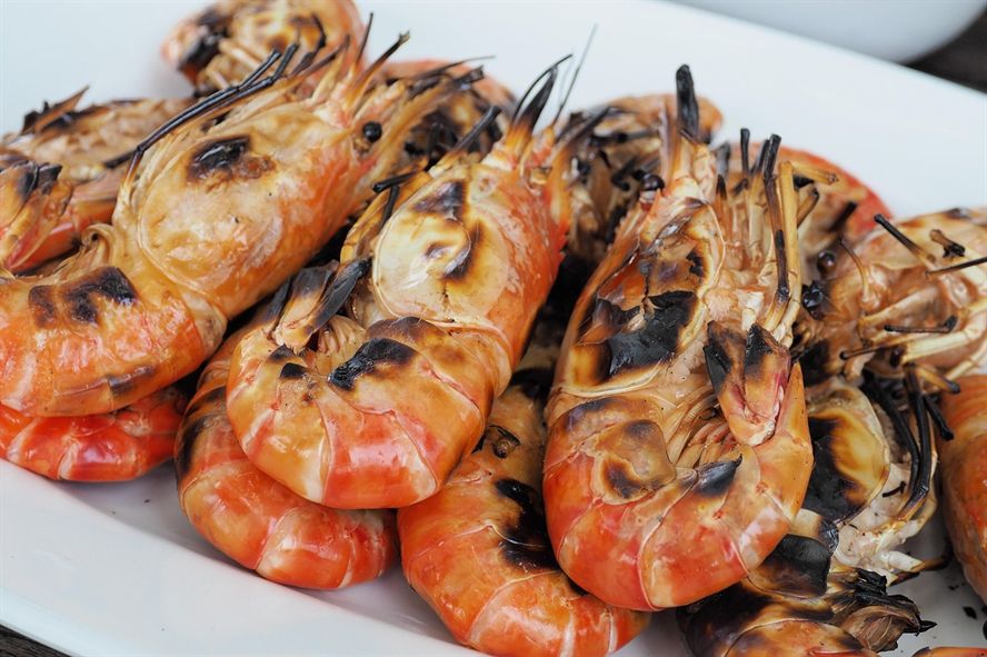 喀喇沁旗嘉銘金魚花卉店