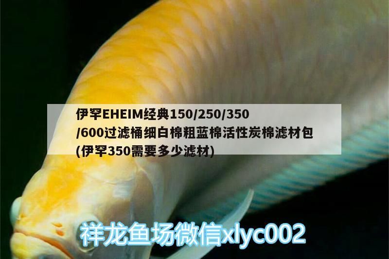 伊罕EHEIM經典150/250/350/600過濾桶細白棉粗藍棉活性炭棉濾材包(伊罕350需要多少濾材)