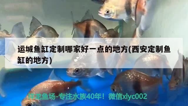運城魚缸定制哪家好一點的地方(西<strong><mark>安定</mark></strong>制魚缸的地方)