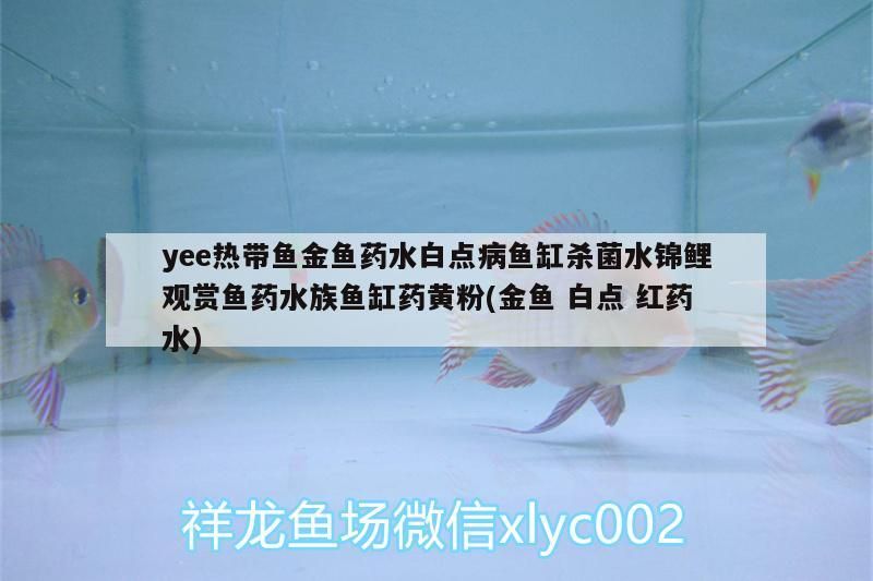 yee熱帶魚金魚藥水白點病魚缸殺菌水錦鯉觀賞魚藥水族魚缸藥黃粉(金魚白點紅藥水)