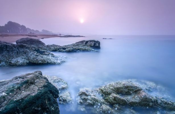 水族館門票多少錢一張北戴河：北戴河水族館特色展覽介紹北戴河水族館親子套票價格