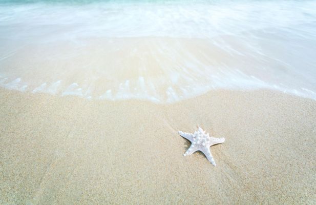 水族館門票多少錢一張北戴河：北戴河水族館特色展覽介紹北戴河水族館親子套票價格