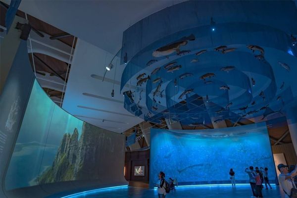 十大水族館（上海海洋水族館、上海海洋水族館、上海海洋水族館）