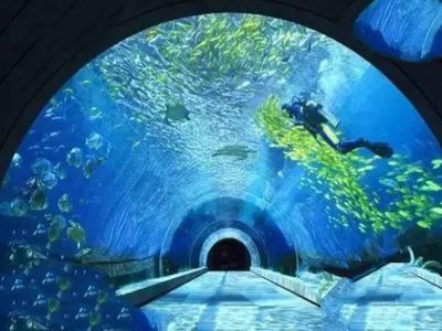 十大水族館（上海海洋水族館、上海海洋水族館、上海海洋水族館）
