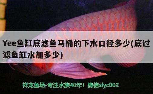 Yee魚缸底濾魚馬桶的下水口徑多少(底過濾魚缸水加多少)