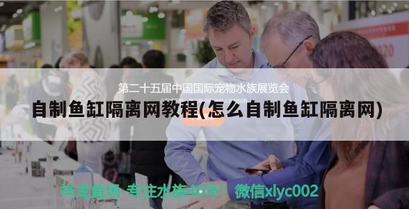自制魚缸隔離網(wǎng)教程(怎么自制魚缸隔離網(wǎng))
