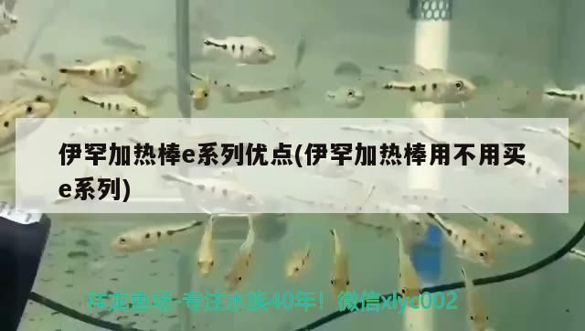 伊罕加熱棒e系列優(yōu)點(diǎn)(伊罕加熱棒用不用買e系列)