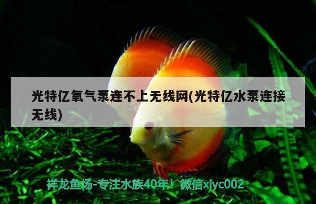 魚缸過濾器選購指南:自制魚缸過濾器魚缸上置過濾器對于養魚愛好者的必備知識 光特億氧氣泵連不上無線網(光特億水泵連接無線) 光特億 光特億氧氣泵連不上無線網(光特億水泵連接無線) 光特億氧氣泵連不上無線網(光特億水泵連接無線) 光特億