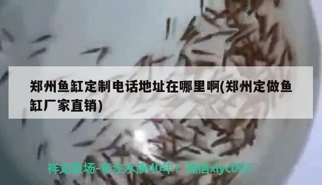 鄭州魚缸定制電話地址在哪里啊(鄭州定做魚缸廠家直銷)