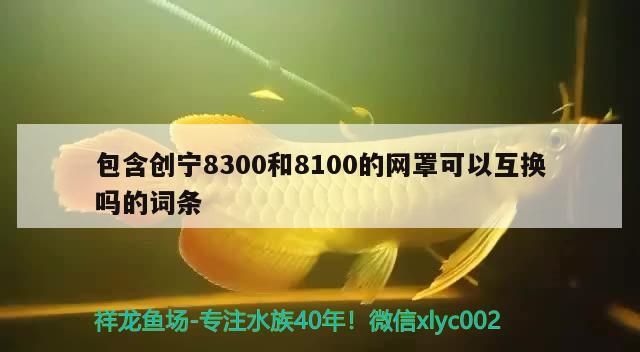 包含創(chuàng)寧8300和8100的網(wǎng)罩可以互換嗎的詞條