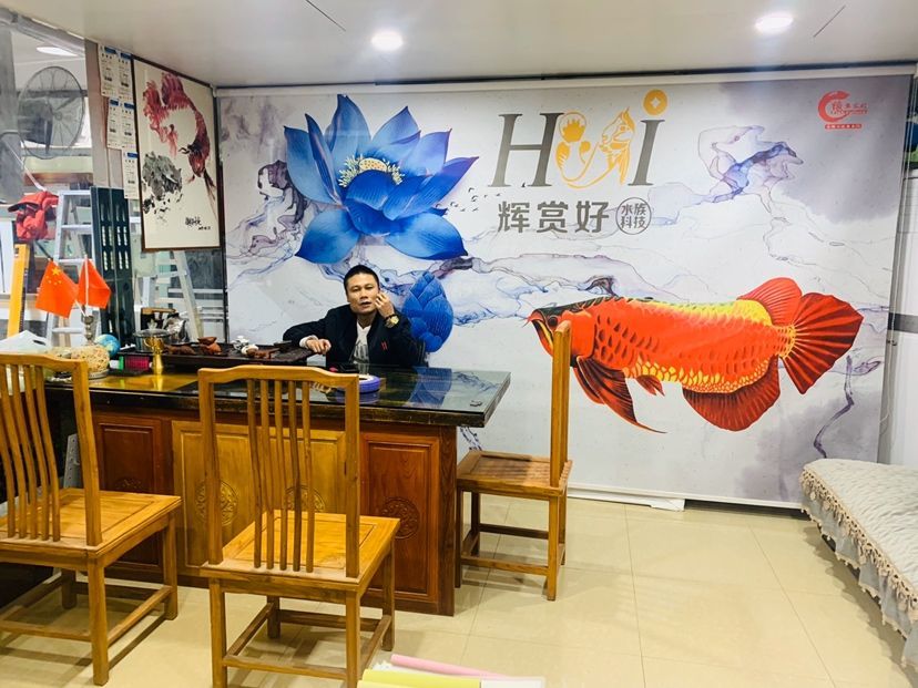 溫州市甌海景山國榮金魚缸加工店 溫州市甌海景山國榮金魚缸加工店 全國水族館企業名錄 第2張