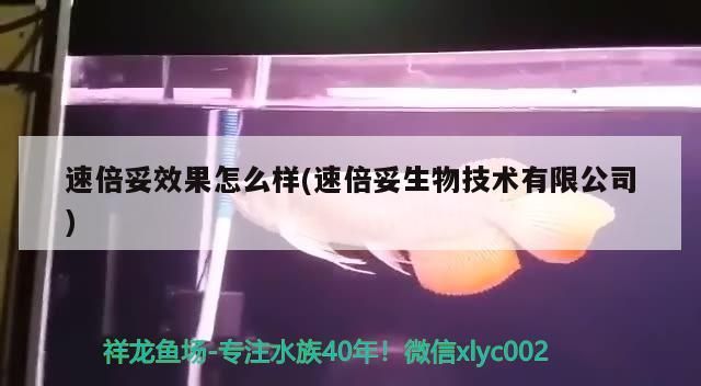 飼料 速倍妥效果怎么樣(速倍妥生物技術(shù)有限公司) 速倍妥 速倍妥效果怎么樣(速倍妥生物技術(shù)有限公司) 速倍妥效果怎么樣(速倍妥生物技術(shù)有限公司) 速倍妥