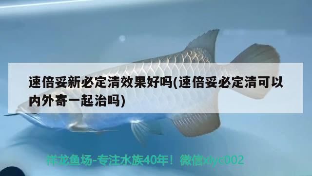速倍妥新必定清效果好嗎(速倍妥必定清可以內外寄一起治嗎)