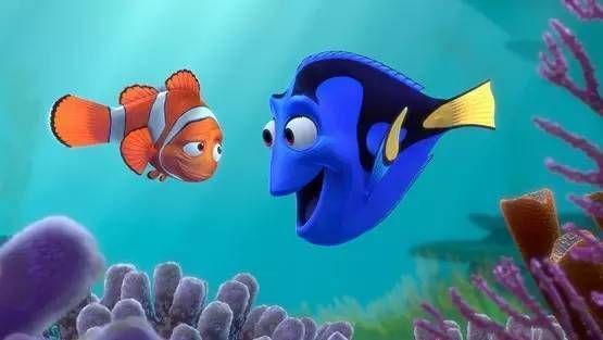 水族館中的魚（水族館中的一些代表性魚類及其詳細介紹，水族館魚種的觀賞價值）