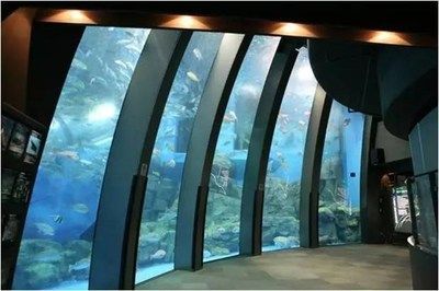 水族館靠什么盈利：水族館如何制定水族館門票價格策略
