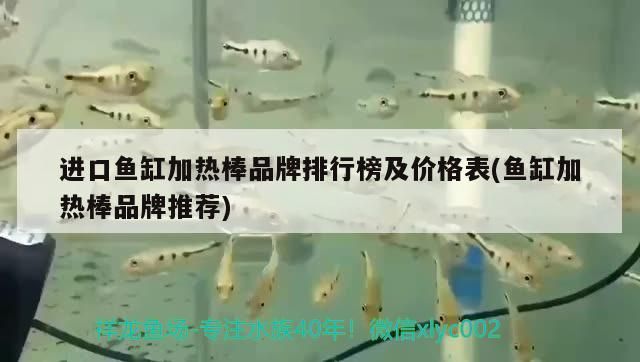進口魚缸加熱棒品牌排行榜及價格表(魚缸加熱棒品牌推薦)