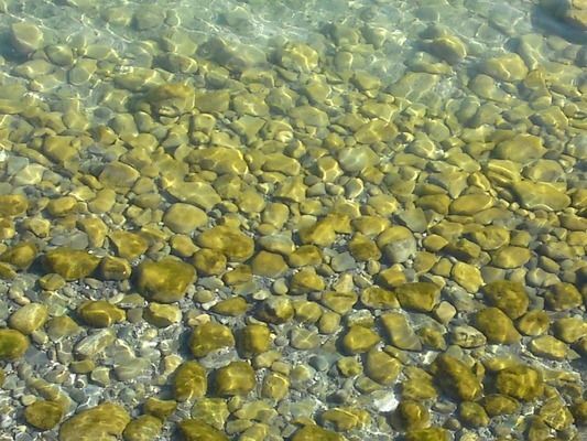 龍魚缸里放什么東西好，如何在龍魚缸內放置物品