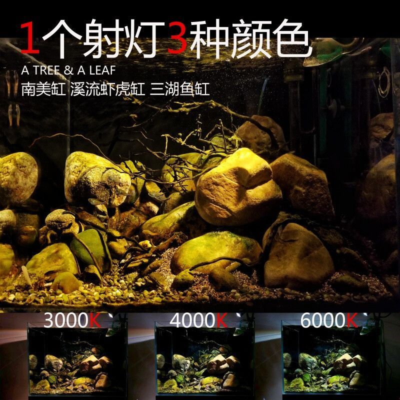 南美缸用馬印燈：南美缸使用馬印燈的建議