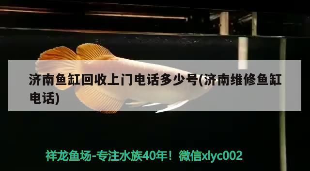 濟南魚缸回收上門電話多少號(濟南維修魚缸電話)