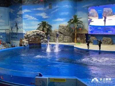 水族館好玩嗎現在還能去嗎（上海海洋水族館是一個適合各個年齡段游客的旅游目的地）