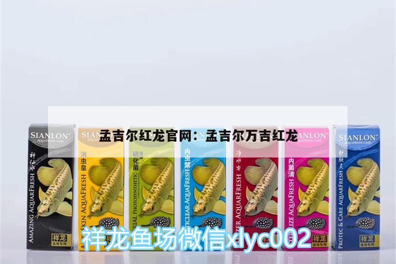 孟吉爾紅龍官網(wǎng):孟吉爾萬吉紅龍 孟吉爾紅龍官網(wǎng):孟吉爾萬吉紅龍 廣州孟吉爾