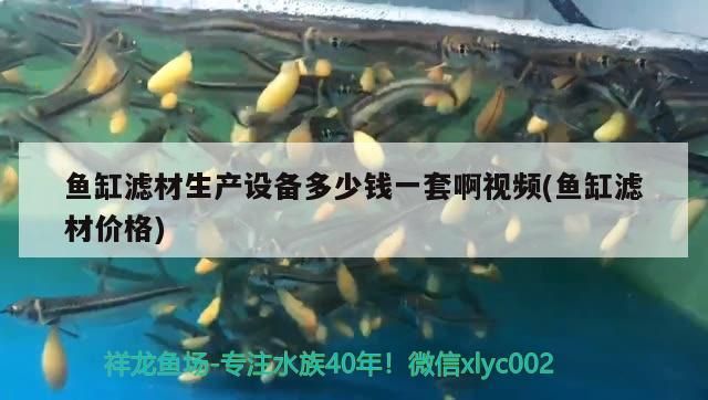 魚缸濾材生產設備多少錢一套啊視頻(魚缸濾材價格)