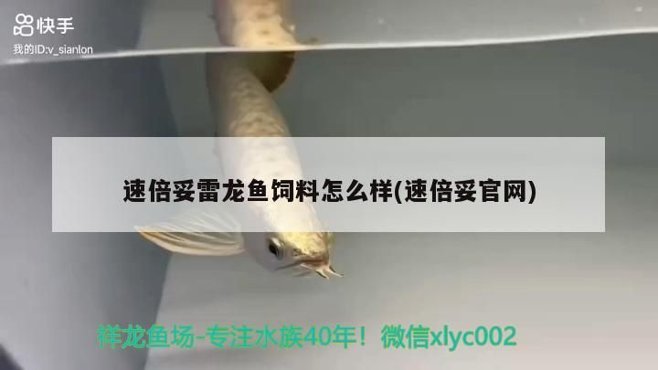 速倍妥雷龍魚飼料怎么樣(速倍妥官網)