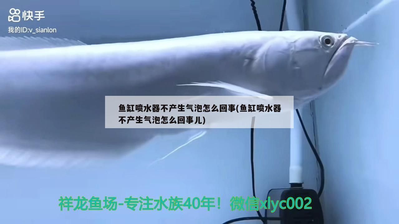 魚缸噴水器不產生氣泡怎么回事(魚缸噴水器不產生氣泡怎么回事兒)