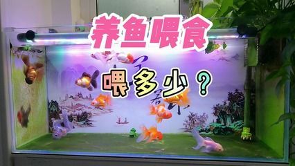 50大的魚缸一般放多少條魚好：50厘米寬的魚缸適合養多大的魚？