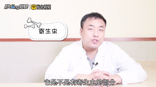 龍魚寄生蟲怎么治好得快一點呢vs祥龍魚場：如何預防龍魚感染寄生蟲 龍魚寄生蟲怎么治好得快一點呢vs祥龍魚場：如何預防龍魚感染寄生蟲 vs祥龍魚場 第5張