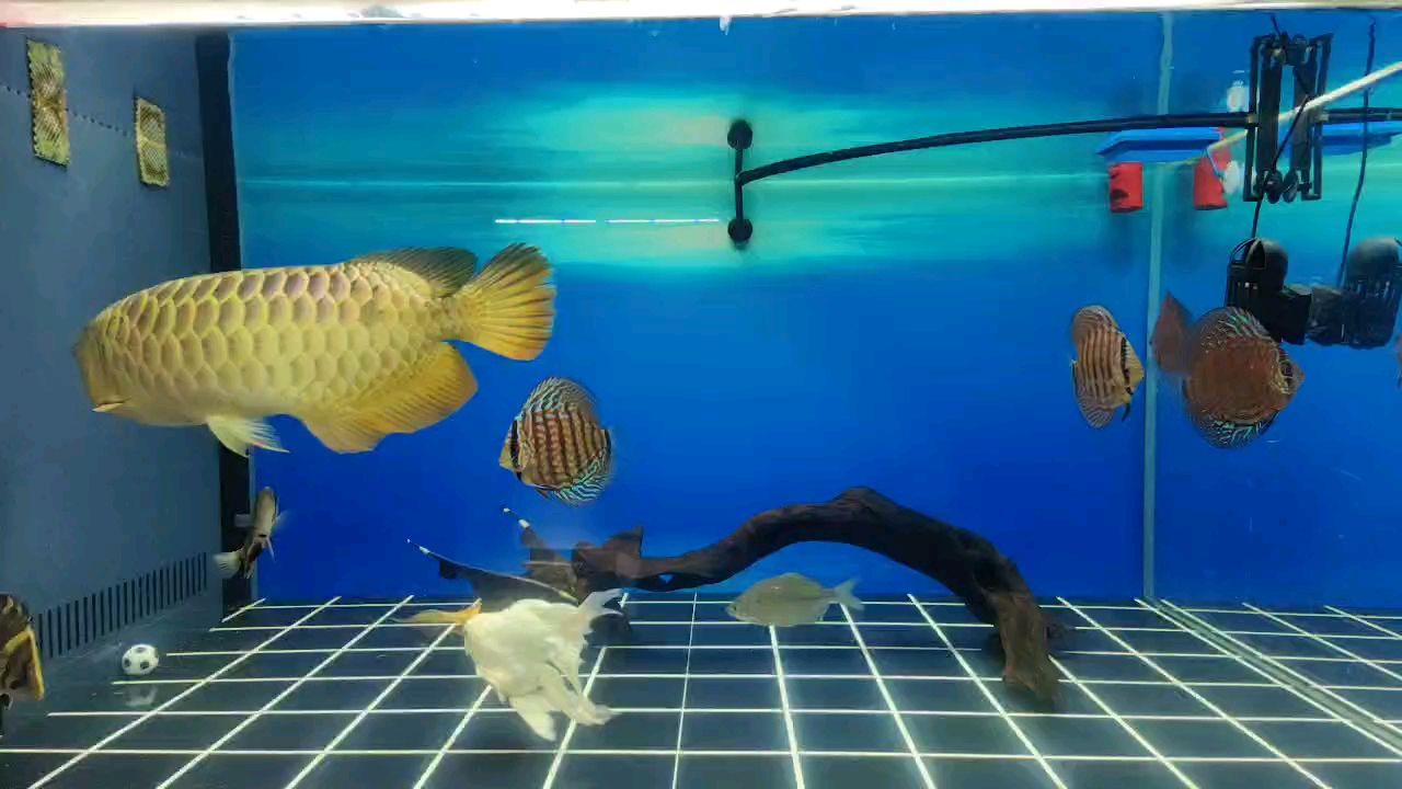 氣溫又低了，食欲還行。