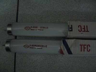 紅龍魚要用什么燈管最好：紅龍魚發色效果是許多魚友關注的焦點,紅龍魚燈光對發色有影響