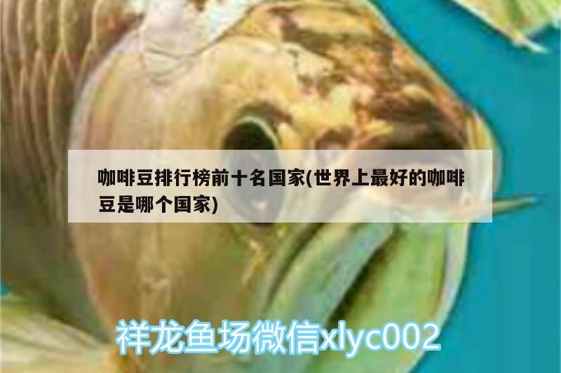咖啡豆排行榜前十名國(guó)家(世界上最好的咖啡豆是哪個(gè)國(guó)家)