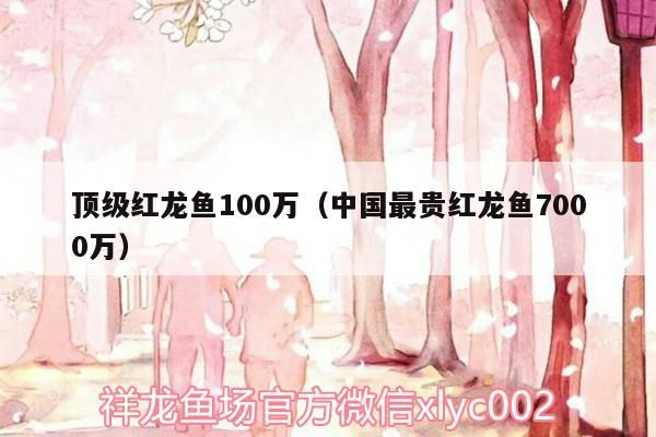 頂級(jí)紅龍魚100萬（中國(guó)最貴紅龍魚7000萬）