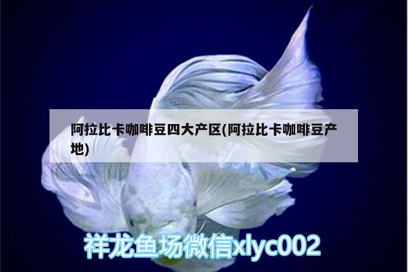 阿拉比卡咖啡豆四大產區(阿拉比卡咖啡豆產地)