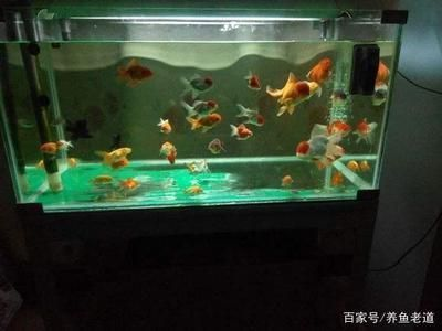 伊罕過濾桶選哪一種（伊罕過濾桶選哪一種好）
