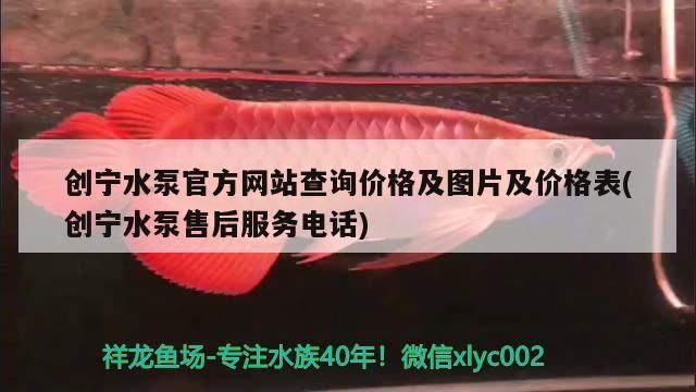 創(chuàng)寧水泵官方網(wǎng)站查詢價格及圖片及價格表(創(chuàng)寧水泵售后服務電話)