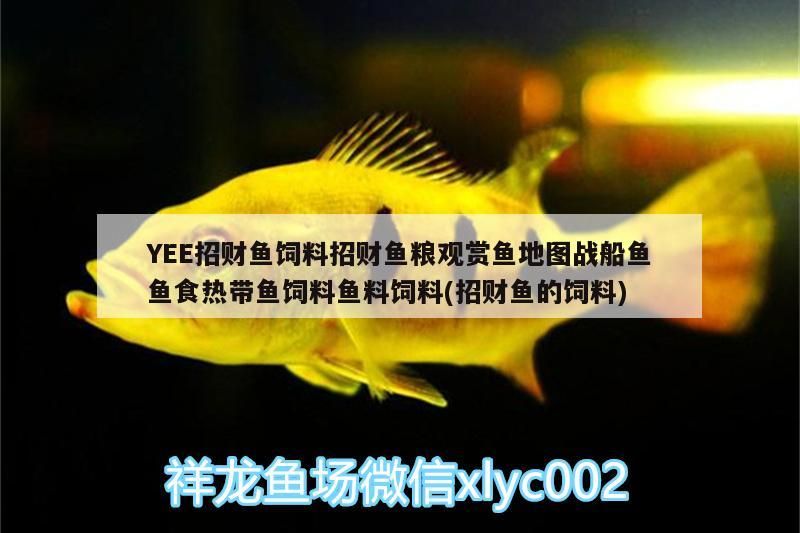 YEE招財魚飼料招財魚糧觀賞魚地圖戰船魚魚食熱帶魚飼料魚料飼料(招財魚的飼料)