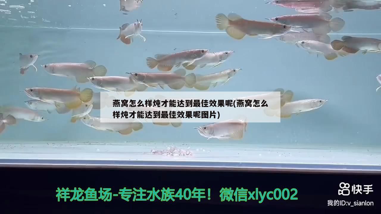營口市站前區自魚自樂水族店 營口市站前區自魚自樂水族店 全國水族館企業名錄 第2張