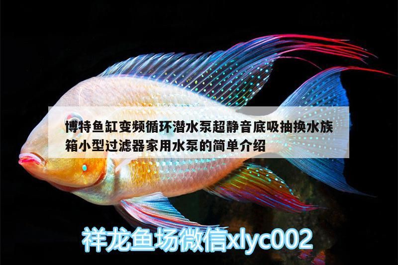 博特魚缸變頻循環潛水泵超靜音底吸抽換水族箱小型過濾器家用水泵的簡單介紹