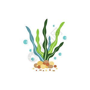 水族館牌子圖片（水族館牌子的設計與制作） 水族館牌子圖片（水族館牌子的設計與制作） 水族館百科（水族館加盟） 第1張