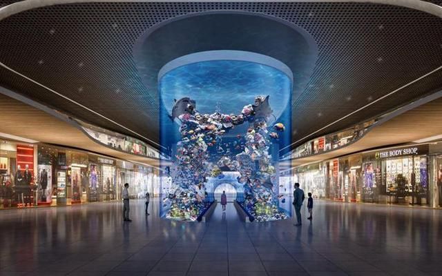 水族館長什么樣：國內外著名水族館的外觀、布局、管理運營等方面的特點