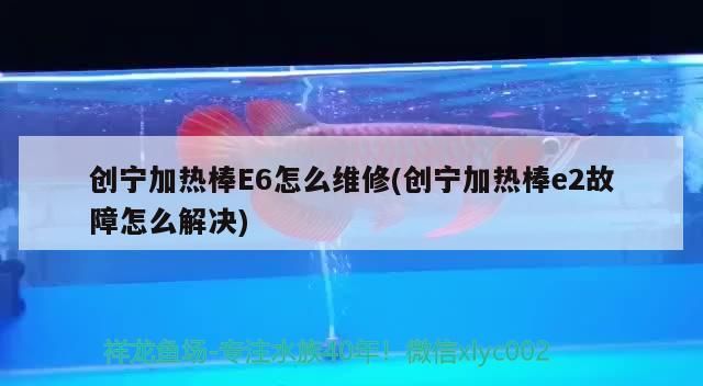 創寧加熱棒E6怎么維修(創寧加熱棒e2故障怎么解決)